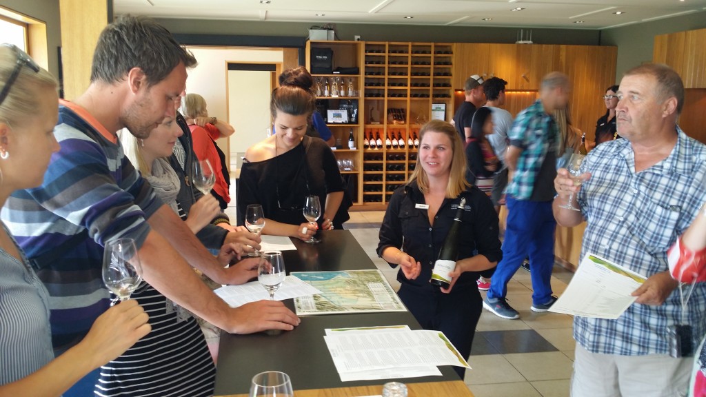 Blenheim Wine tasting tour 