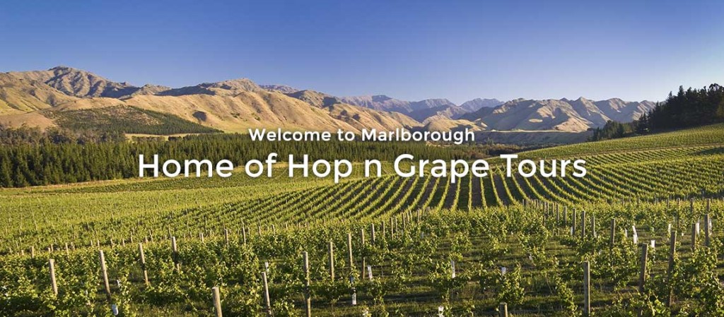 Marlborough Wine tours and Marlborough vineyard view