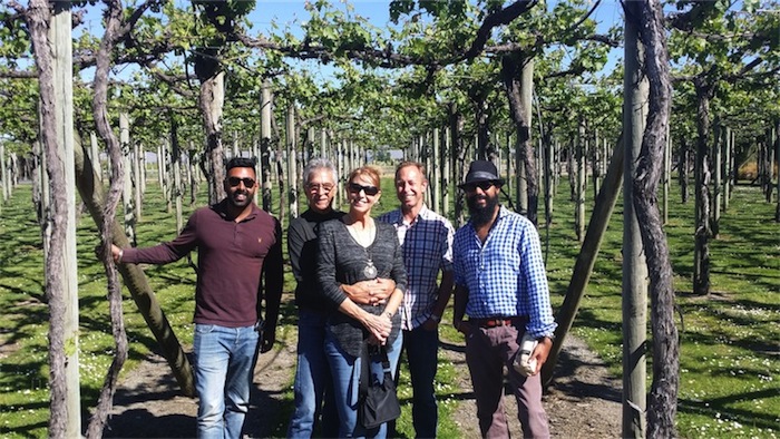 Blenheim vineyard tour