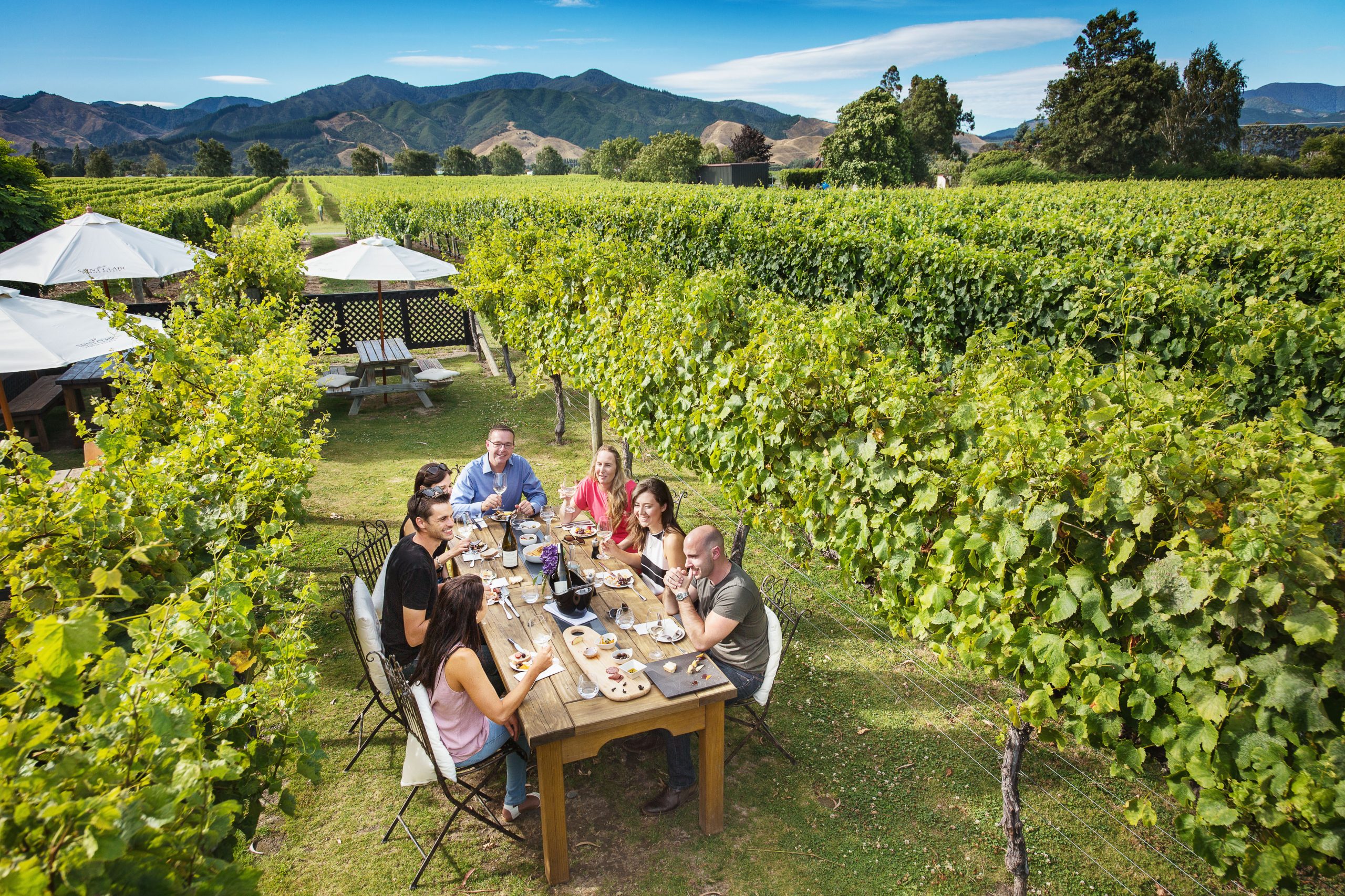 Cloudy Bay Wine tasting - Hop n Grape Tours - Marlborough Wine Tours -  Daily Wine Tours in Marlborough, NZ